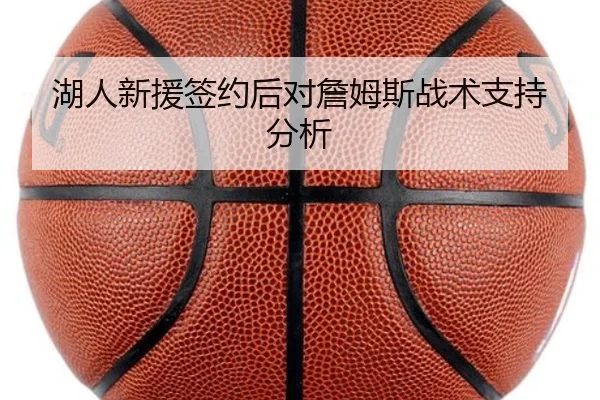 湖人新援签约后对詹姆斯战术支持分析